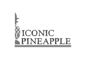 Iconic Pineapple